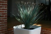 Loft Galicya